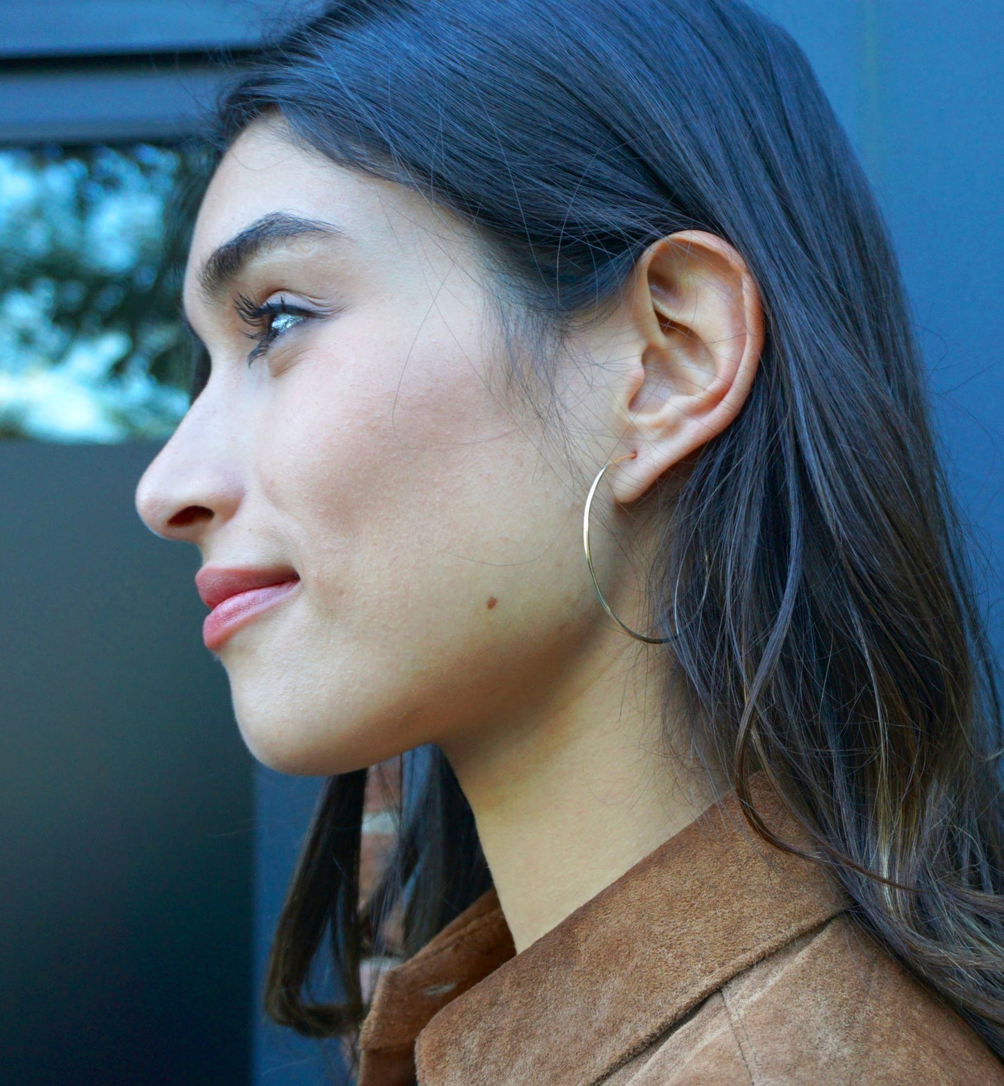 Hammered Hoops